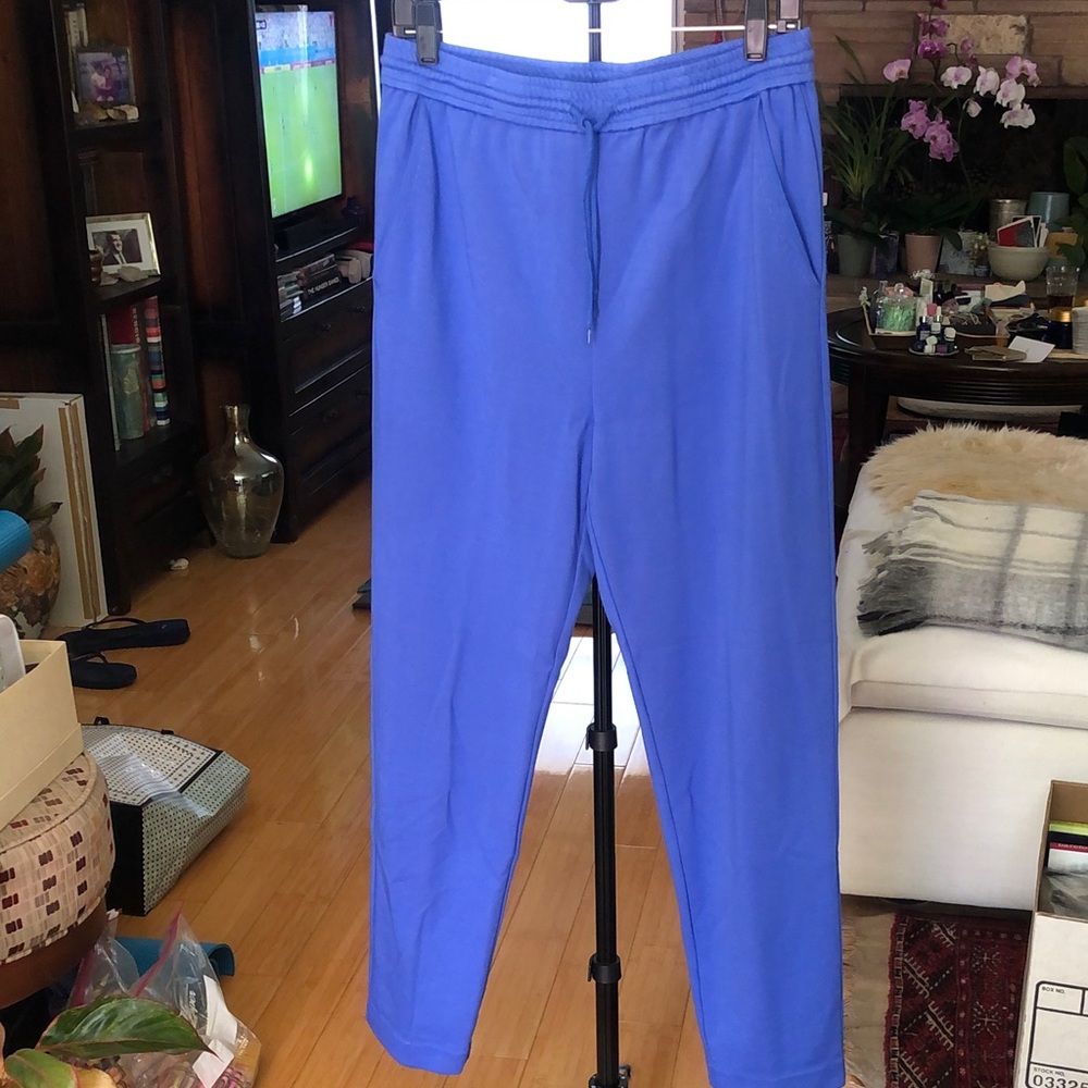 Kobi Halperin Straight Leg Athletic Pants in Vibrant Blue